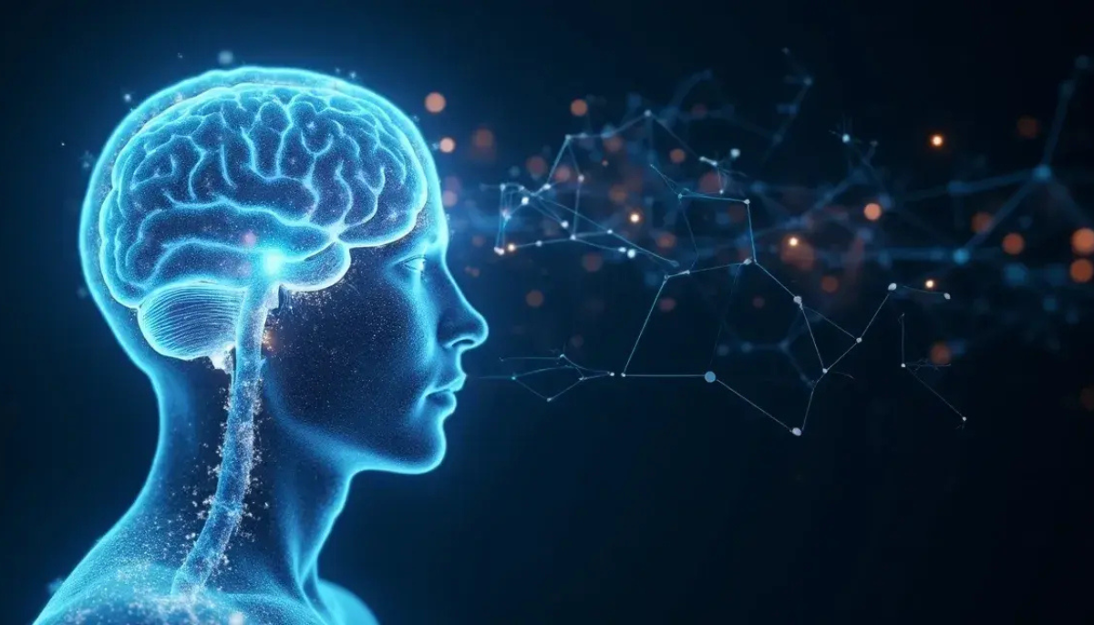 Your Brain Wasn’t Built for This Many Decisions